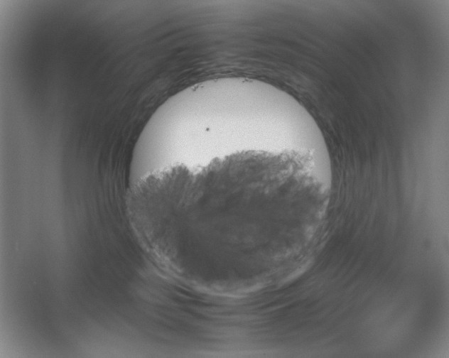 X0000067460185200604071138