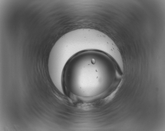 X0000067460186200604071138