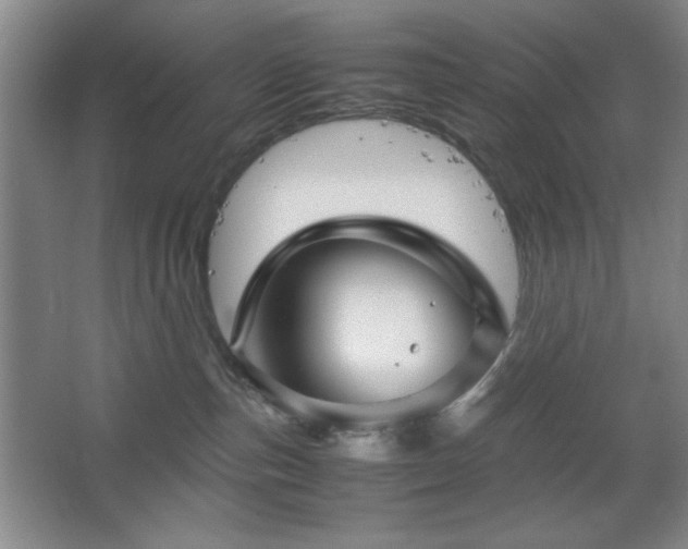 X0000067460187200604071138