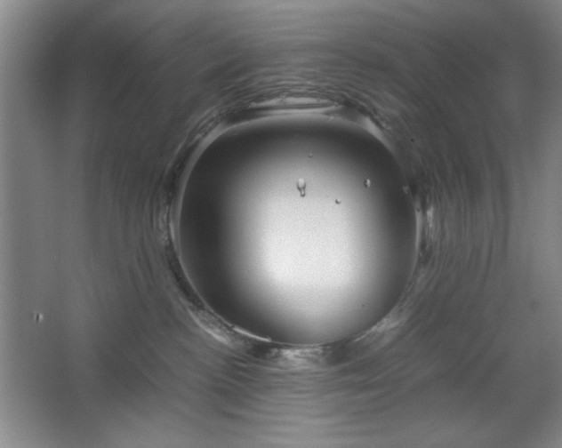 X0000067460188200604071138