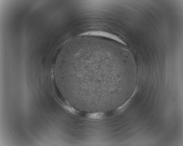 X0000067460191200604071138