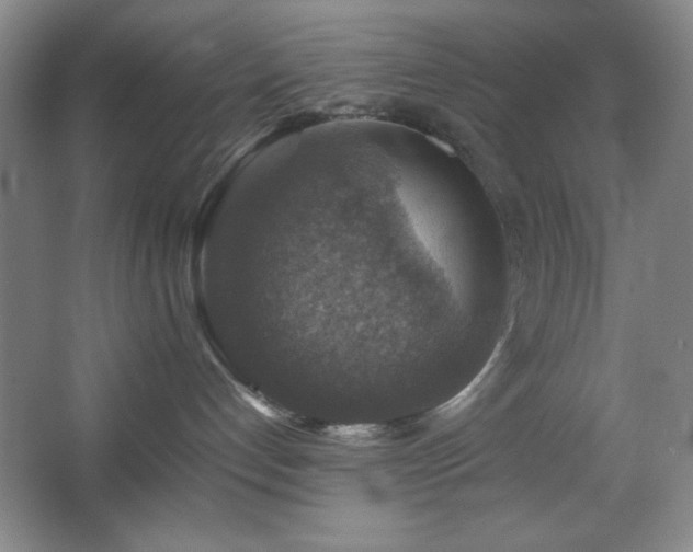 X0000067460192200604071138