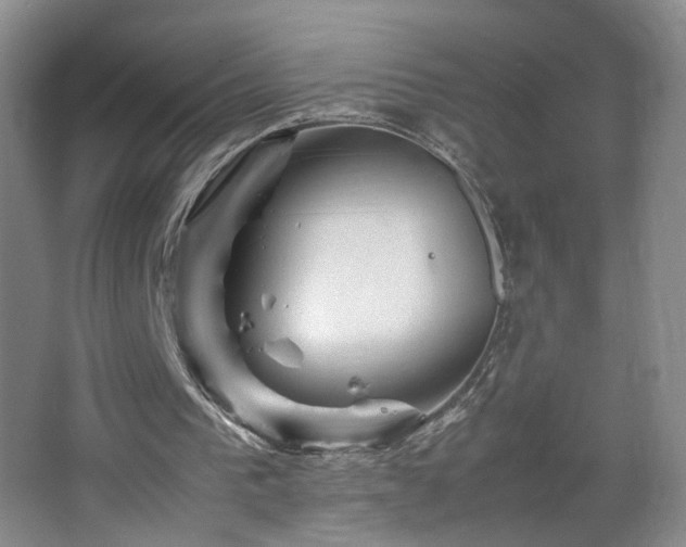 X0000067460193200604071137