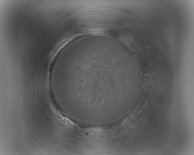 X0000067460194200604071137