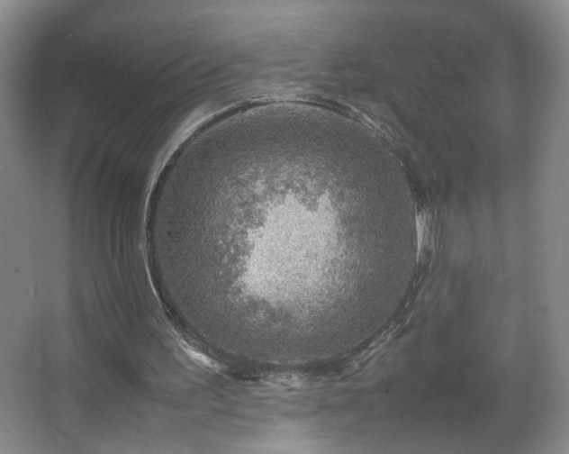 X0000067460195200604071137