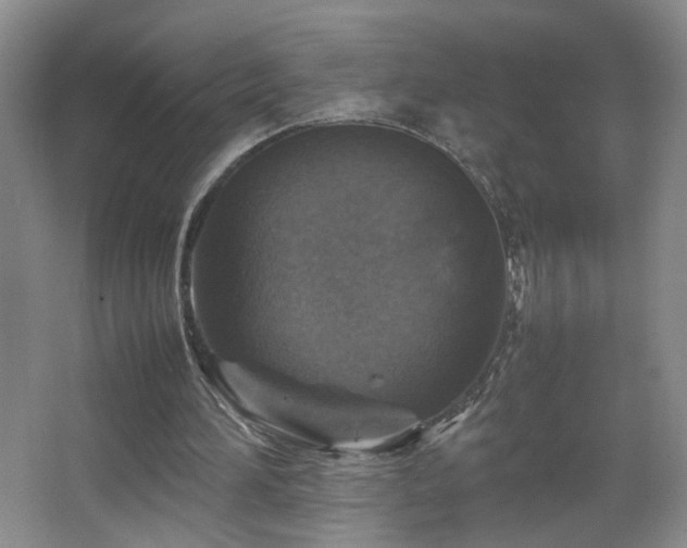 X0000067460196200604071137