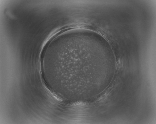 X0000067460198200604071137