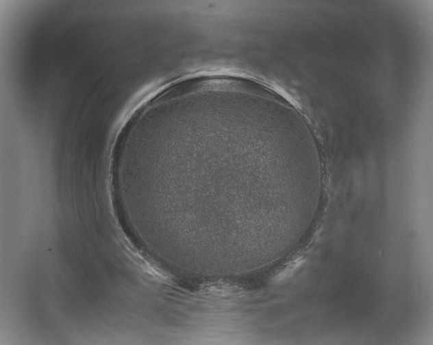 X0000067460199200604071137