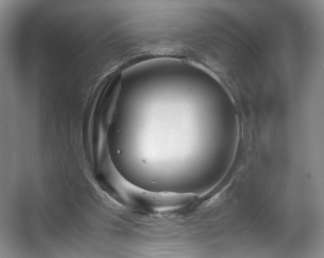 X0000067460201200604071137