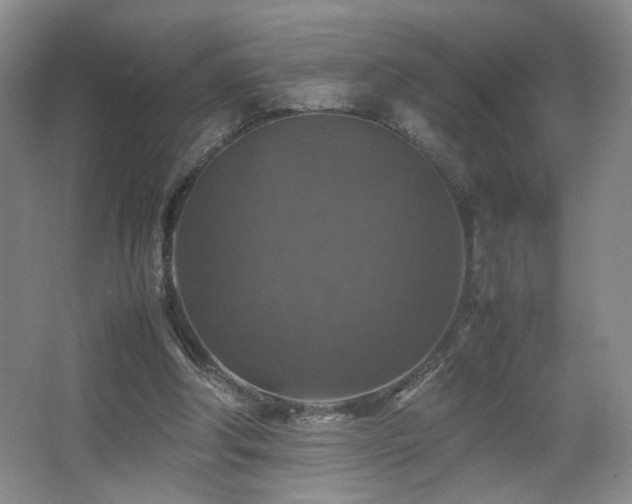 X0000067460202200604071137