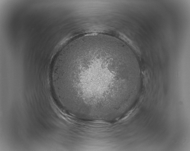 X0000067460203200604071137