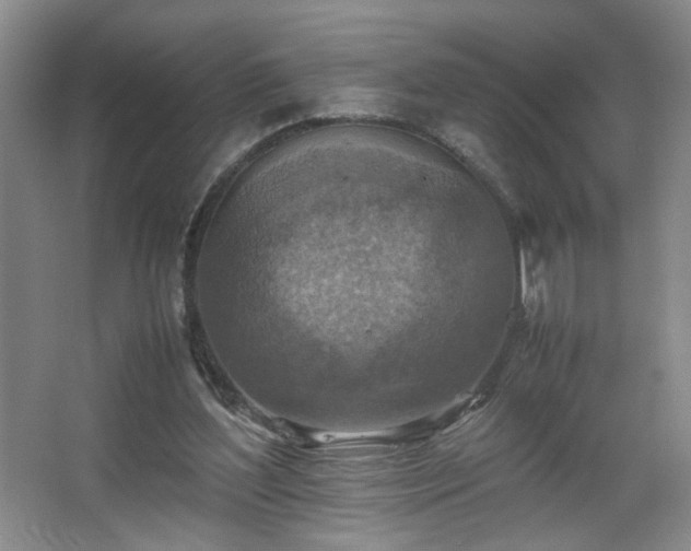 X0000067460204200604071137