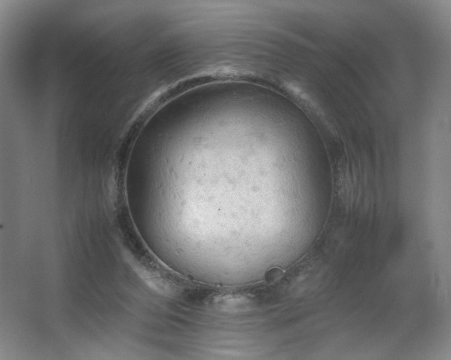 X0000067460208200604071137