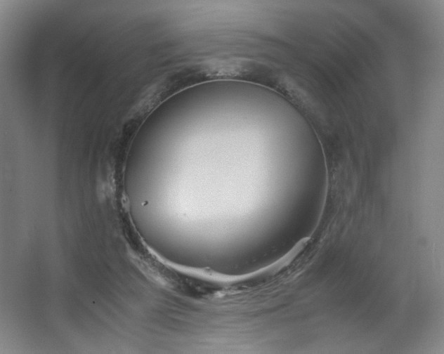 X0000067460209200604071137