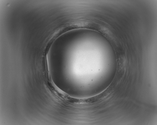 X0000067460212200604071137