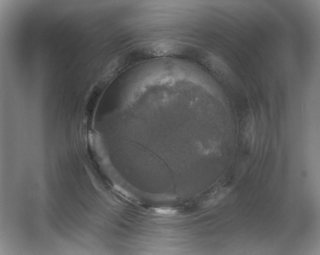 X0000067460214200604071137