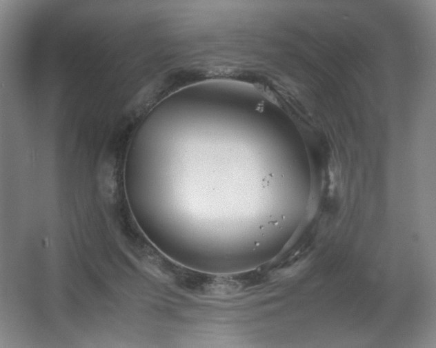 X0000067460215200604071137