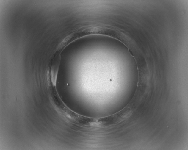 X0000067460216200604071136