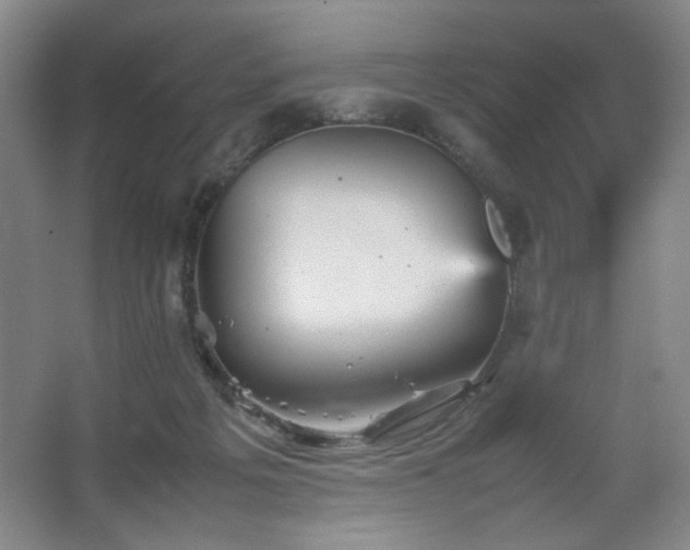 X0000067460217200604071136