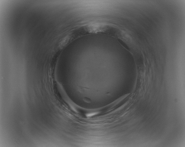 X0000067460219200604071136