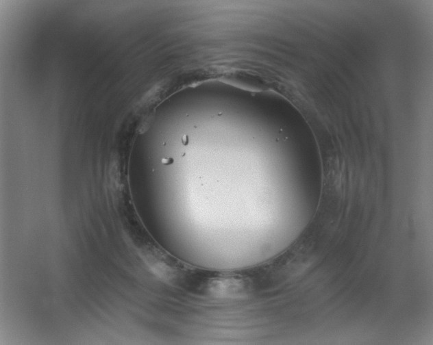 X0000067460220200604071136