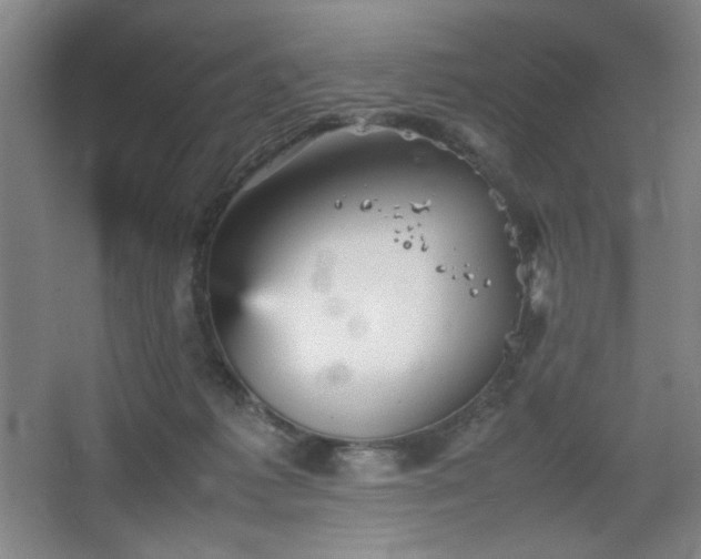 X0000067460221200604071136