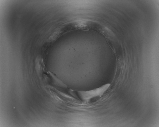 X0000067460223200604071136