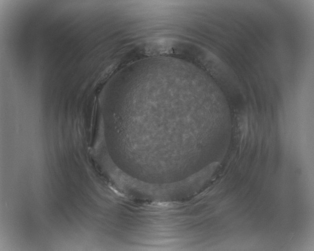 X0000067460224200604071136