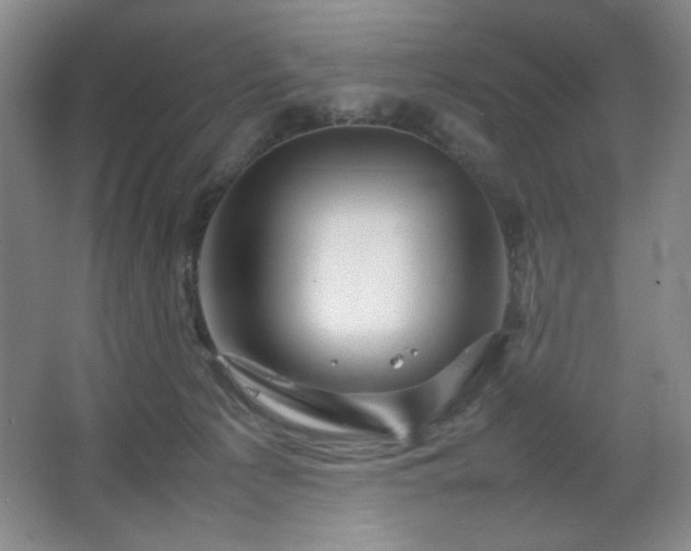 X0000067460225200604071136