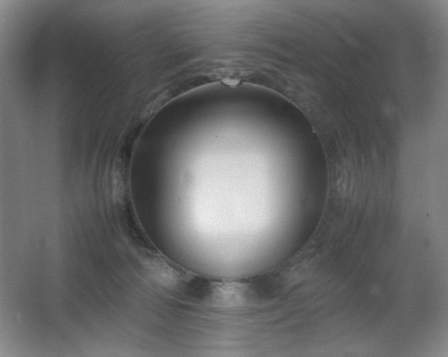 X0000067460226200604071136