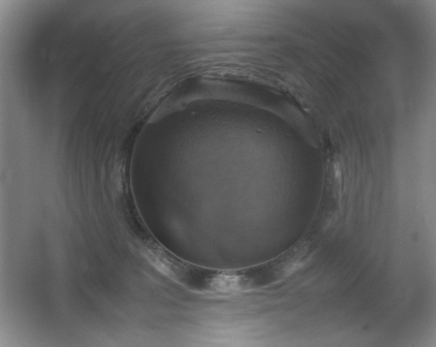 X0000067460227200604071136