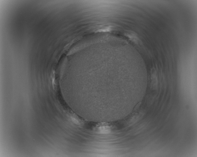 X0000067460228200604071136