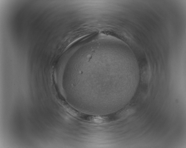 X0000067460229200604071136