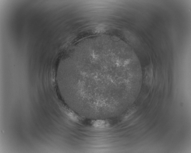 X0000067460230200604071136