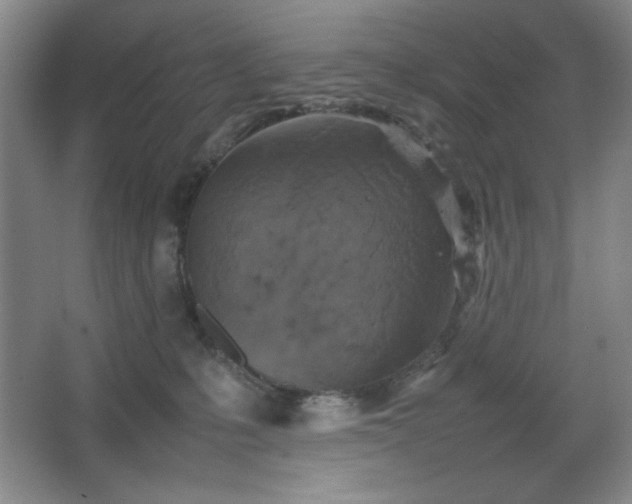 X0000067460231200604071136