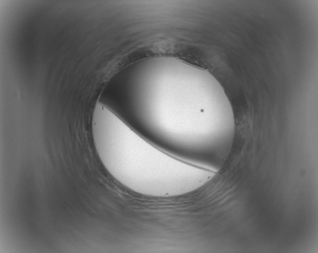 X0000067460233200604071136