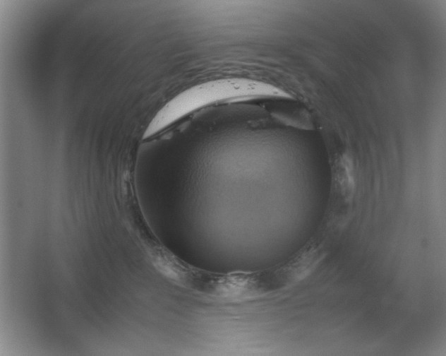 X0000067460235200604071136