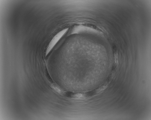 X0000067460237200604071136