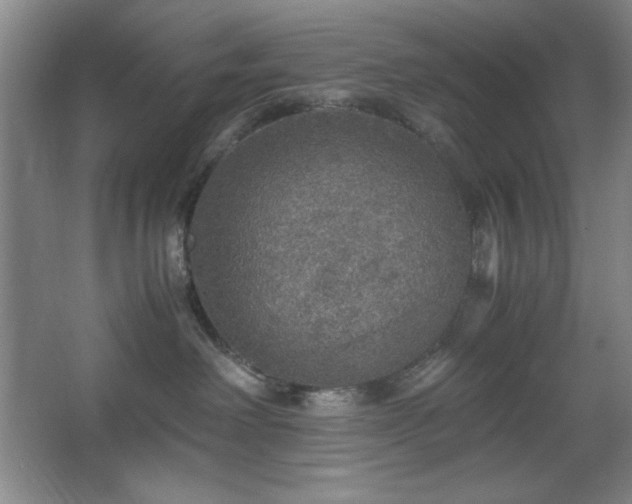 X0000067460238200604071136