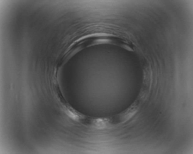 X0000067460239200604071136