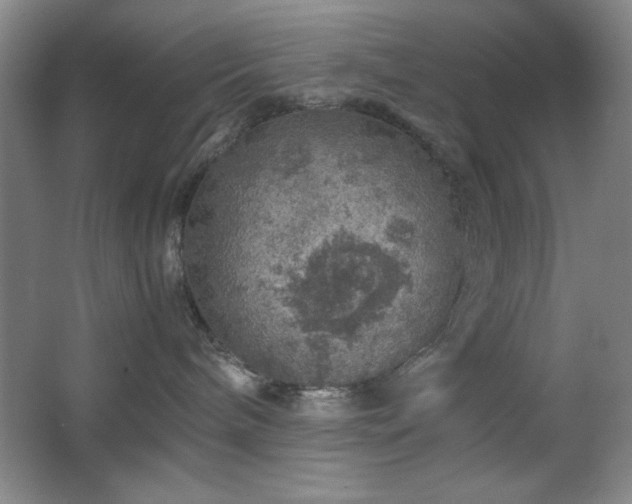 X0000067460240200604071136