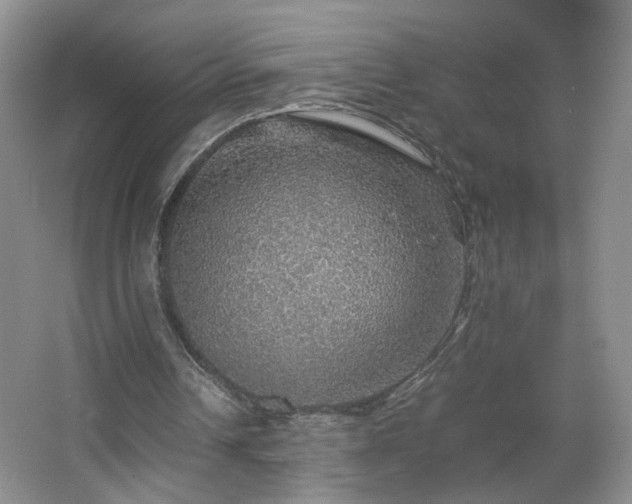 X0000067460242200604071135