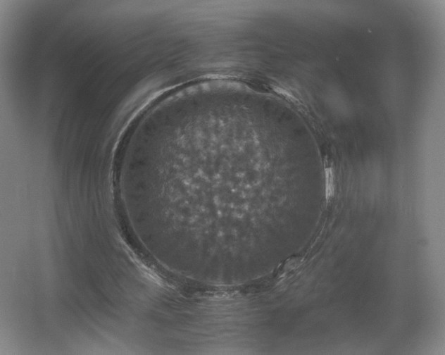 X0000067460243200604071135