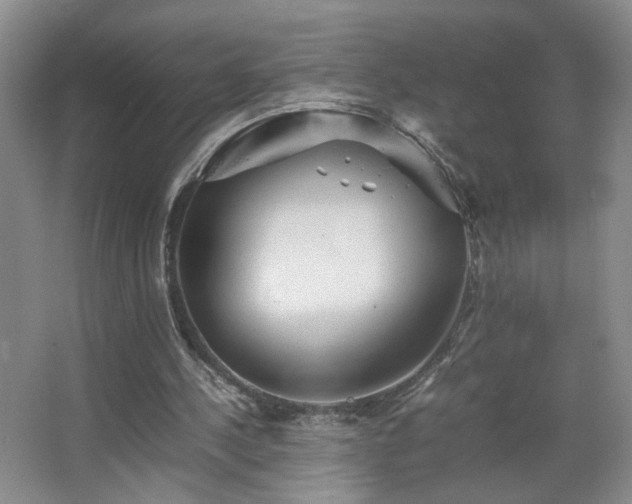 X0000067460244200604071135