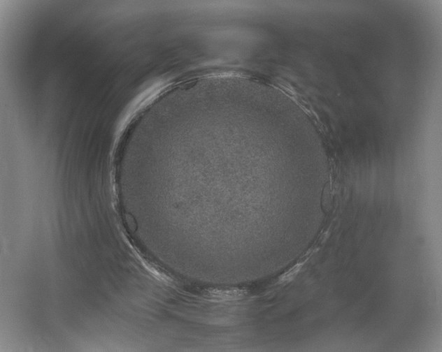 X0000067460245200604071135