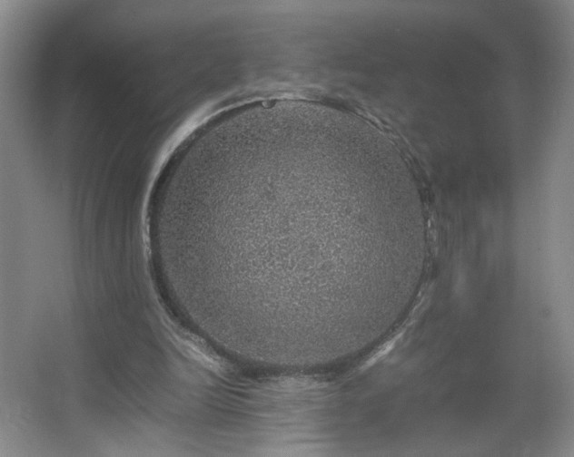 X0000067460246200604071135