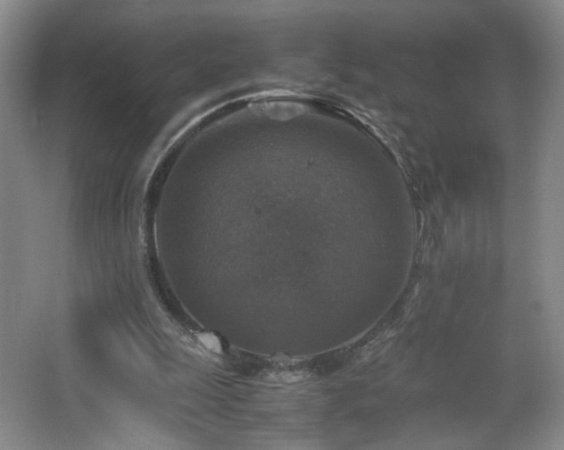 X0000067460247200604071135