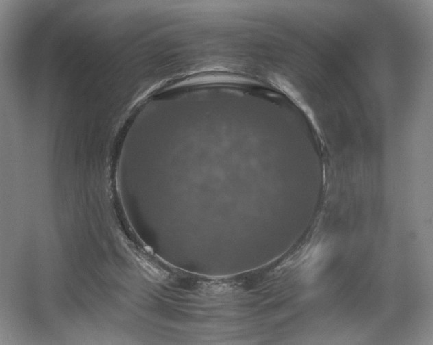 X0000067460249200604071135