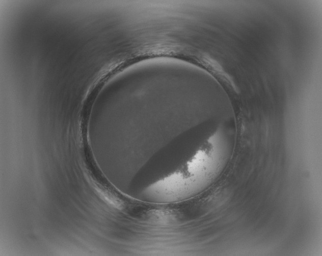 X0000067460250200604071135