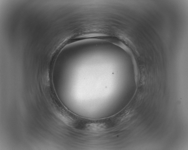 X0000067460251200604071135